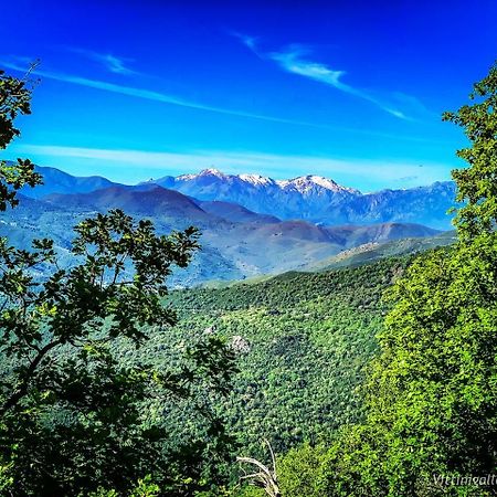 Nuits Magiques Au Village Entre Mer Et Montagnes Bigorno Esterno foto