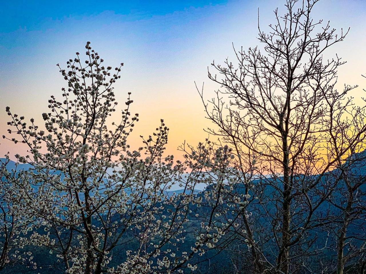 Nuits Magiques Au Village Entre Mer Et Montagnes Bigorno Esterno foto