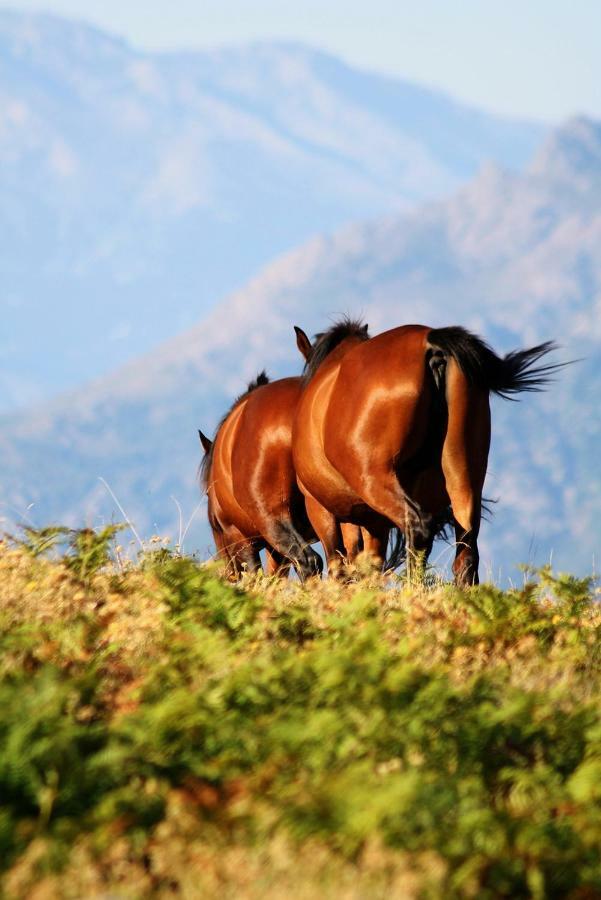 Nuits Magiques Au Village Entre Mer Et Montagnes Bigorno Esterno foto