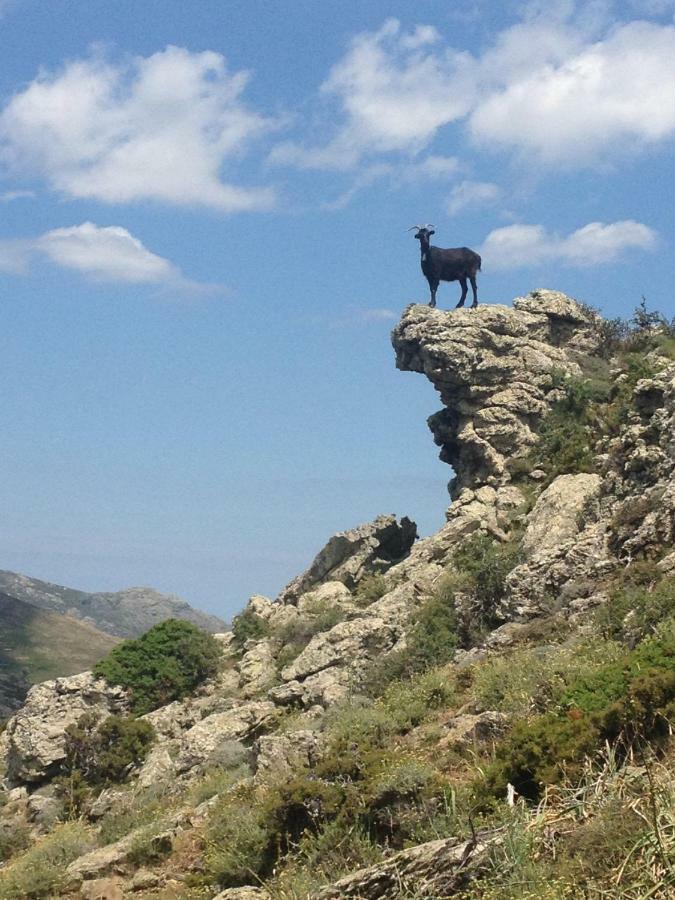 Nuits Magiques Au Village Entre Mer Et Montagnes Bigorno Esterno foto